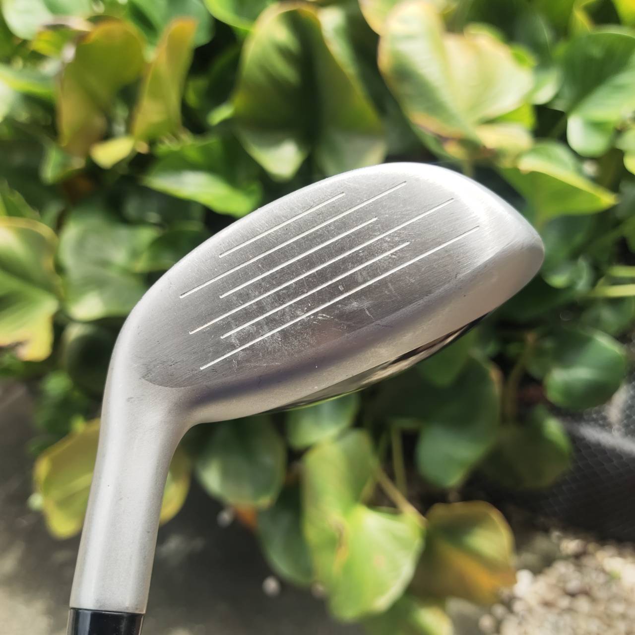 U5 Taylormade R7 Draw Rescue Loft 25 องศา “Draw” ช่วยแก้ปัญหาลูกสไลซ์ ตีตรงมากๆ