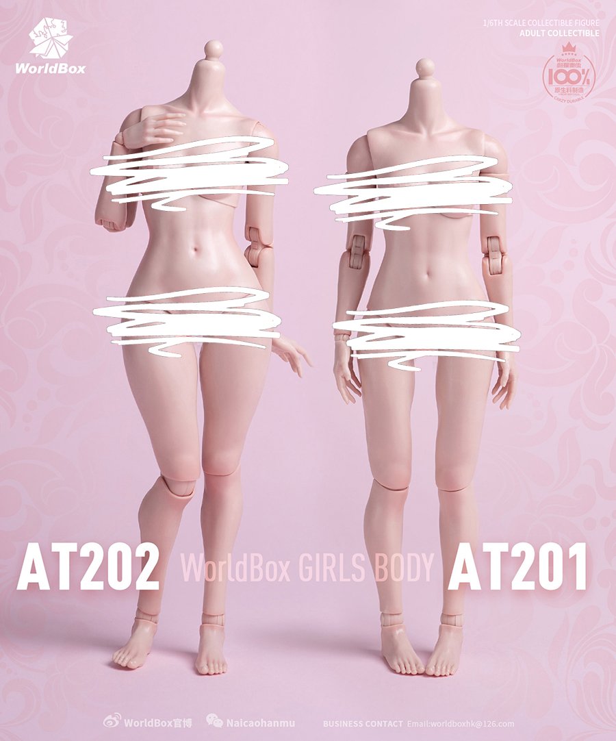 [สั่งจอง]Worldbox 1/6 : Girl Body