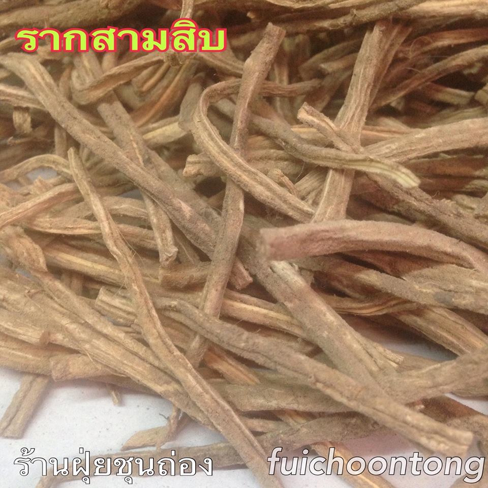 รากสามสิบ