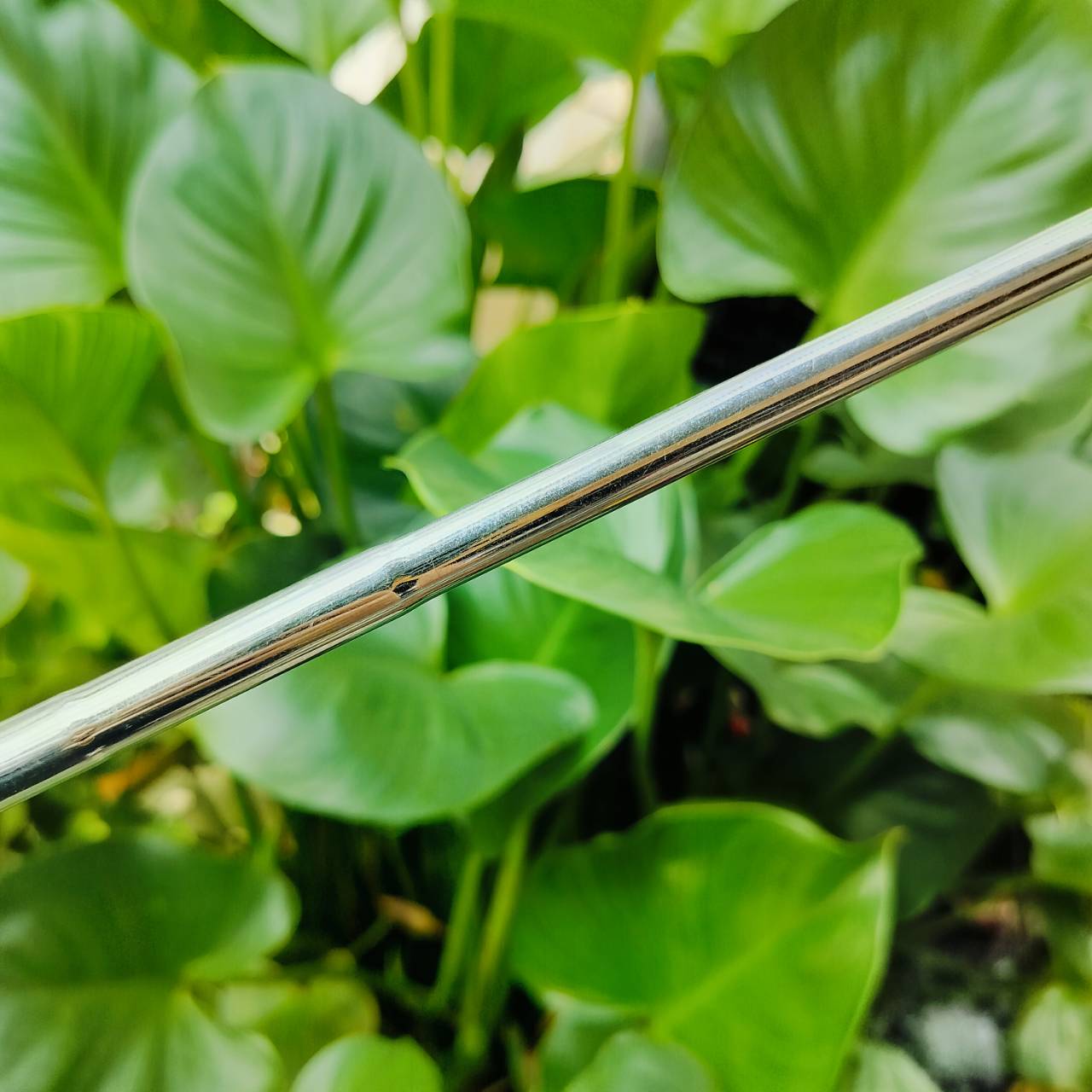 PUTTER BRIDGESTONE PRECEPT เป็นทรงมอลเล็ต HIGH M.O.I. ความยาว 34 นิ้ว พัตเตอร์ญี่ปุ่น ไม้กอล์ฟพรีเมี่ยมมือสอง ของแท้ By NakaraLuxurious