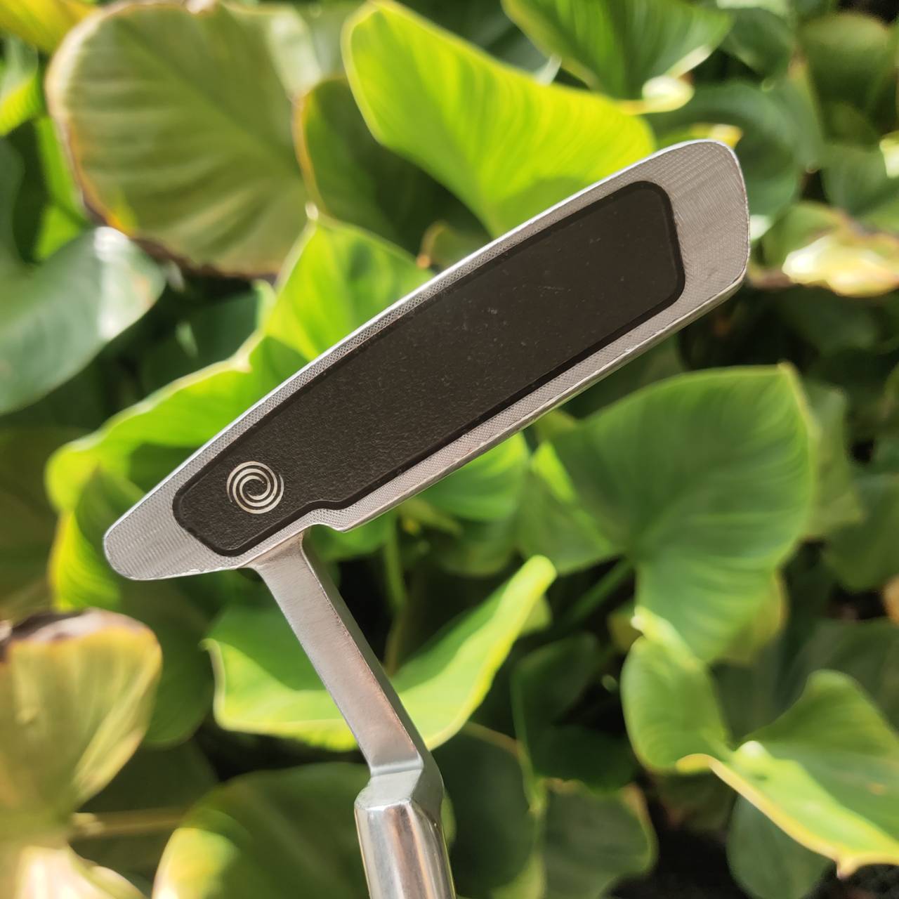 Putter ODYSSEY DUAL FORCE CLASSICS 660 หน้า Stronomic Insert ให้ฟีลนุ่ม ลูกกลิ้งเกาะไลน์มาก