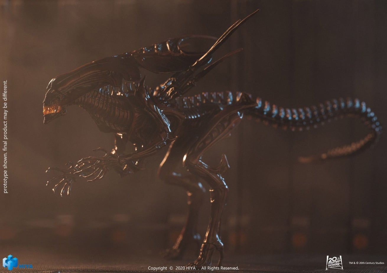 [สั่งจอง]HIYA 1/18 : AVP