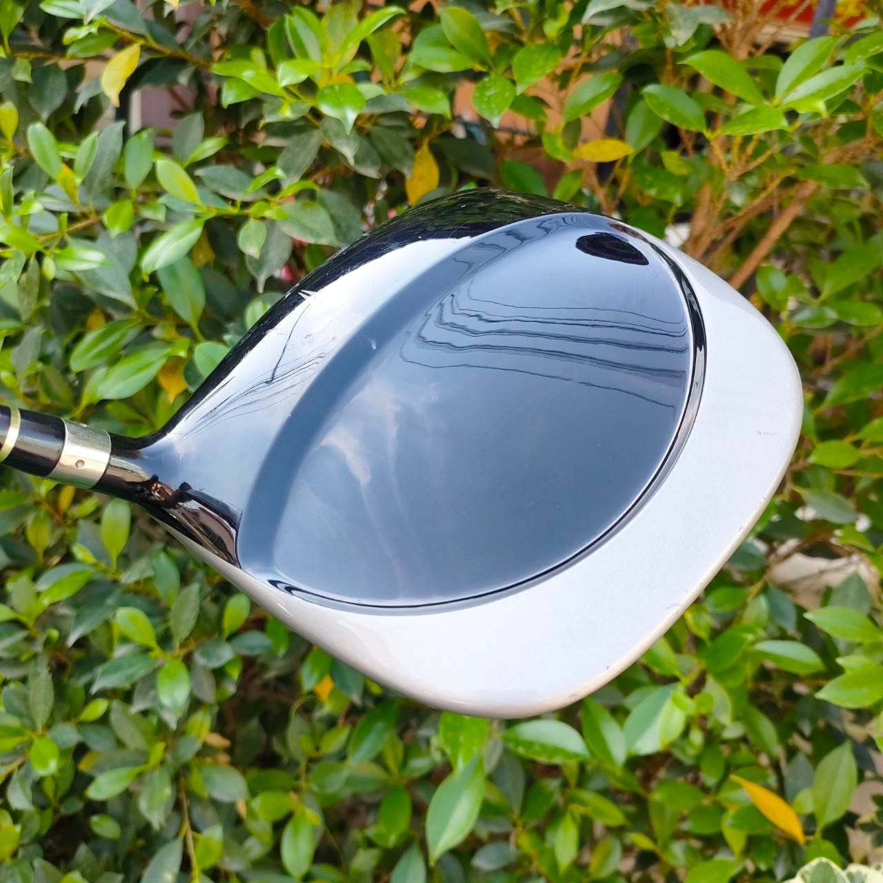 DRIVER NIKE SQ SUMO2 องศา 9.5 ก้าน DIAMANA FLEX S ชดเชยความปิดพลาดได้สูงมากๆ