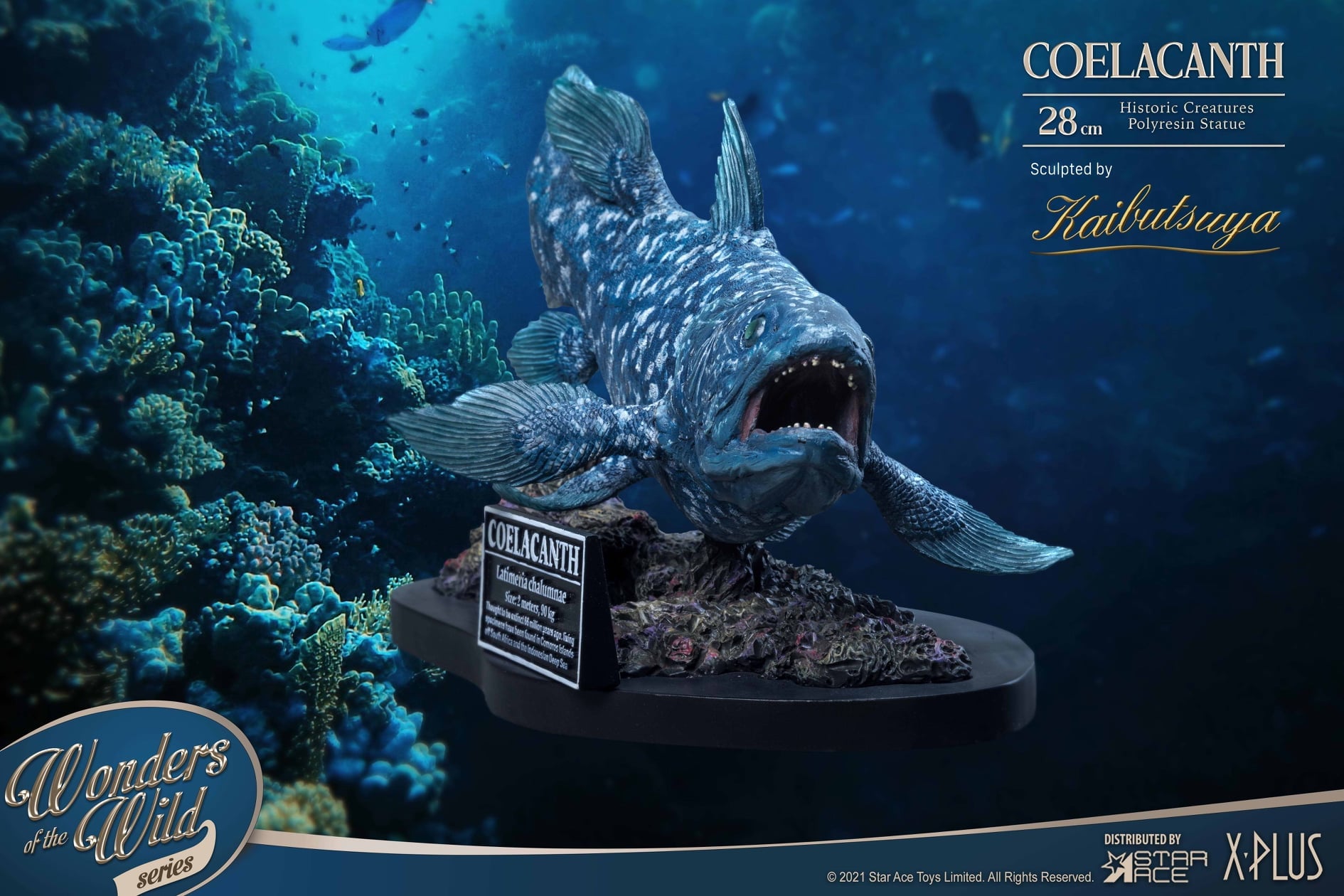 [สั่งจอง]Star Ace : Wonder of the Wild Coelacanth