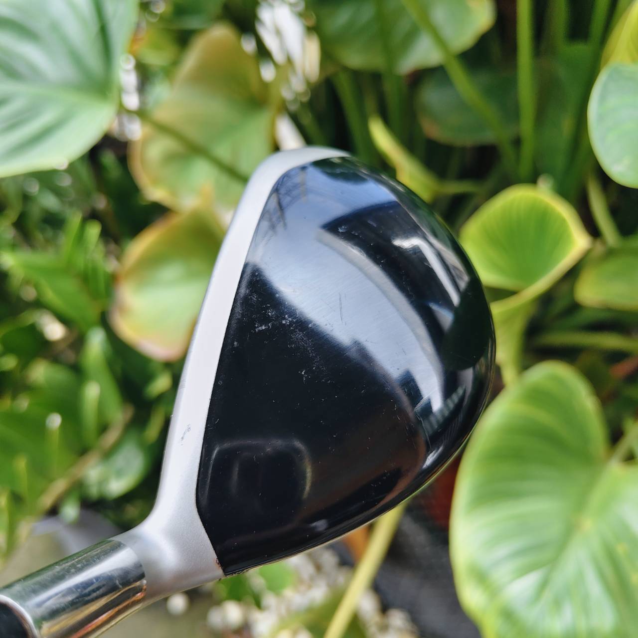 U4 Callaway FT-iz – 24° FLEX R ไฮบริดตีง่าย ระยะนิ่ง และคุมทิศทางดี