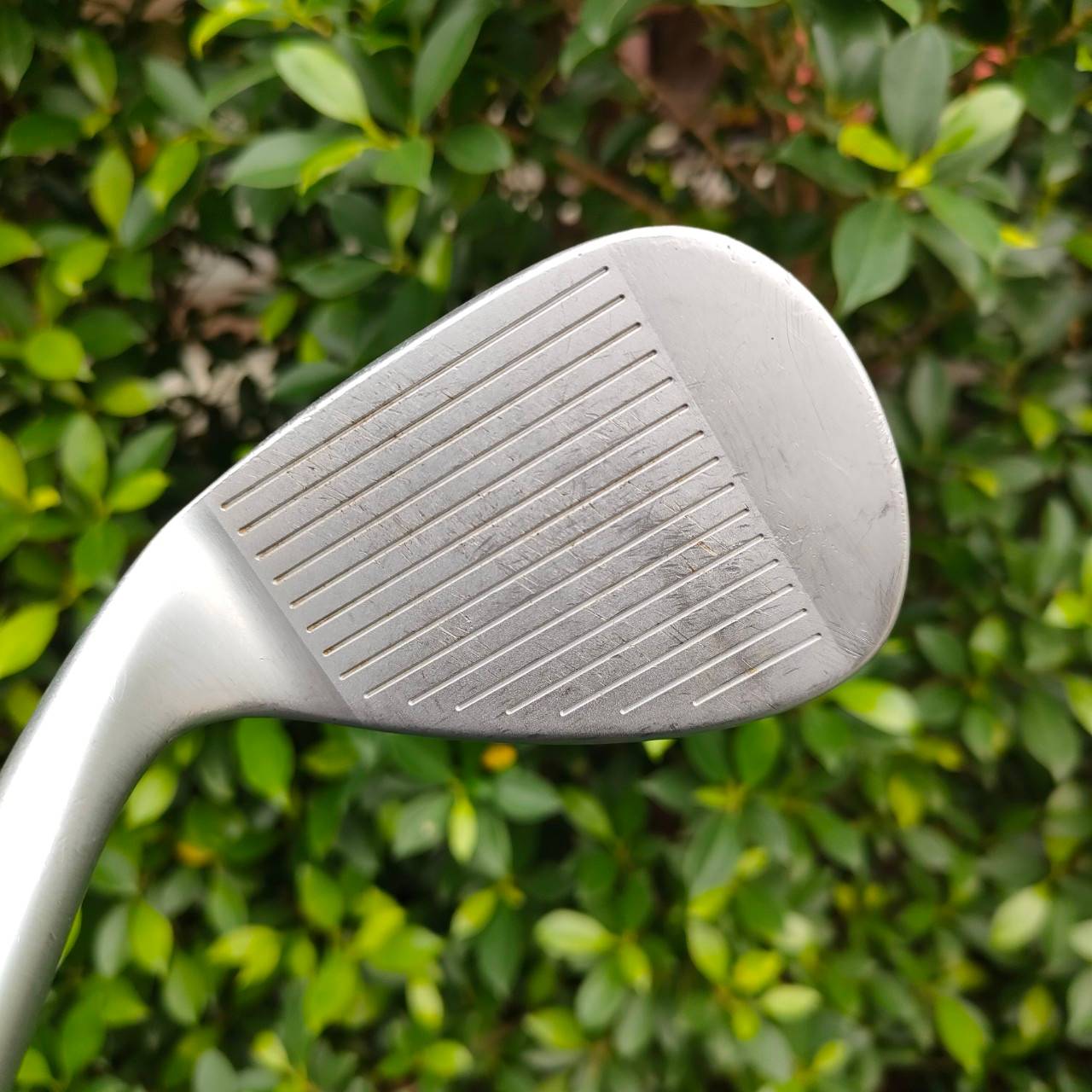 WEDGE NIKE V REV GROOVES องศา 58 BOUNCE 10 สวยๆ DUAL SOLE ชิพง่ายสอดผ่านดี ฟีลลิ่งดีครับ สปินมาเต็ม
