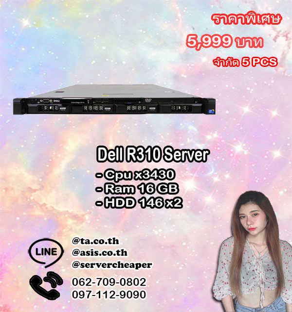 Dell R310 Server