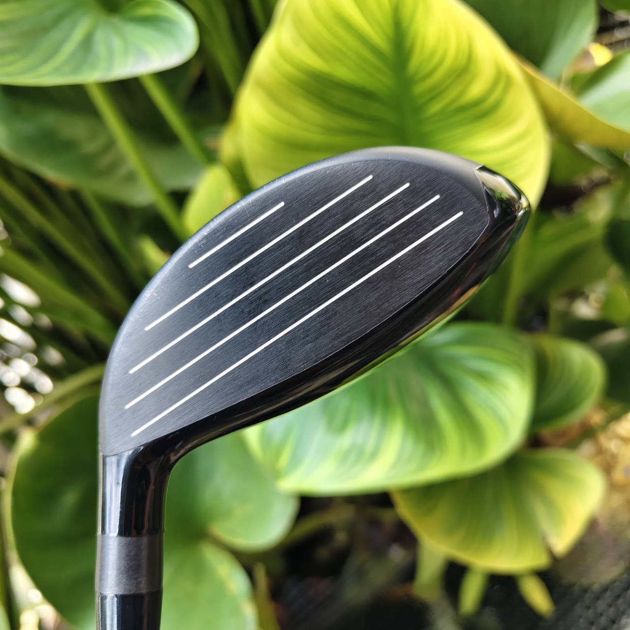 #3 (15°) HONMA TW757 รุ่นท็อประดับทัวร์ ออกแบบเพื่อ “ความเร็ว + การควบคุม” อย่างสมบูรณ์แบบ