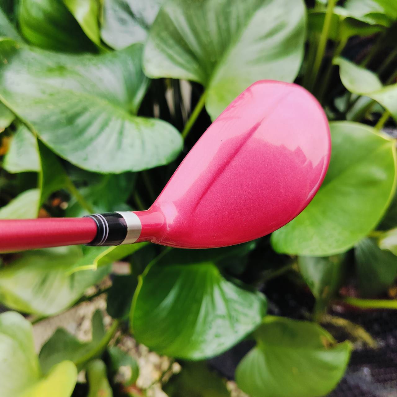 ** ไม้กอล์ฟผู้หญิง ** U5 KASCO DIMPALS EL องศา 24 EASY DRIVE, LONGER FLIGHT! ตีทั้งง่าย และ ตีไกลมากๆเลยค่ะ ไม้กอล์ฟพรีเมี่ยมมือสอง ของแท้ By NakaraLuxurious