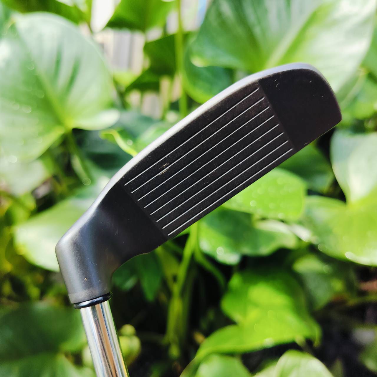 CHIPPER PRGR R-35 WEDGE งานพรีเมี่ยมญี่ปุ่น วัสดุสุดพรีเมี่ยม เล่นข้างกรีน ชิพแอนด์รัน หวังผล เล็งไลน์ดีๆ มีโอกาสมากกว่าใช้ WEDGE ออกแบบได้ดีกว่า CHIPPER ทั่วไป ไม้กอล์ฟพรีเมี่ยมมือสอง ของแท้ By NakaraLuxurious