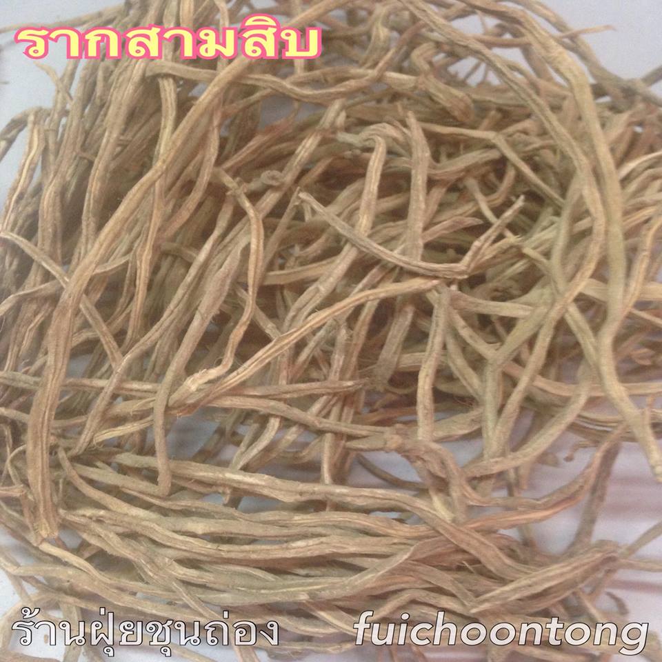 รากสามสิบ