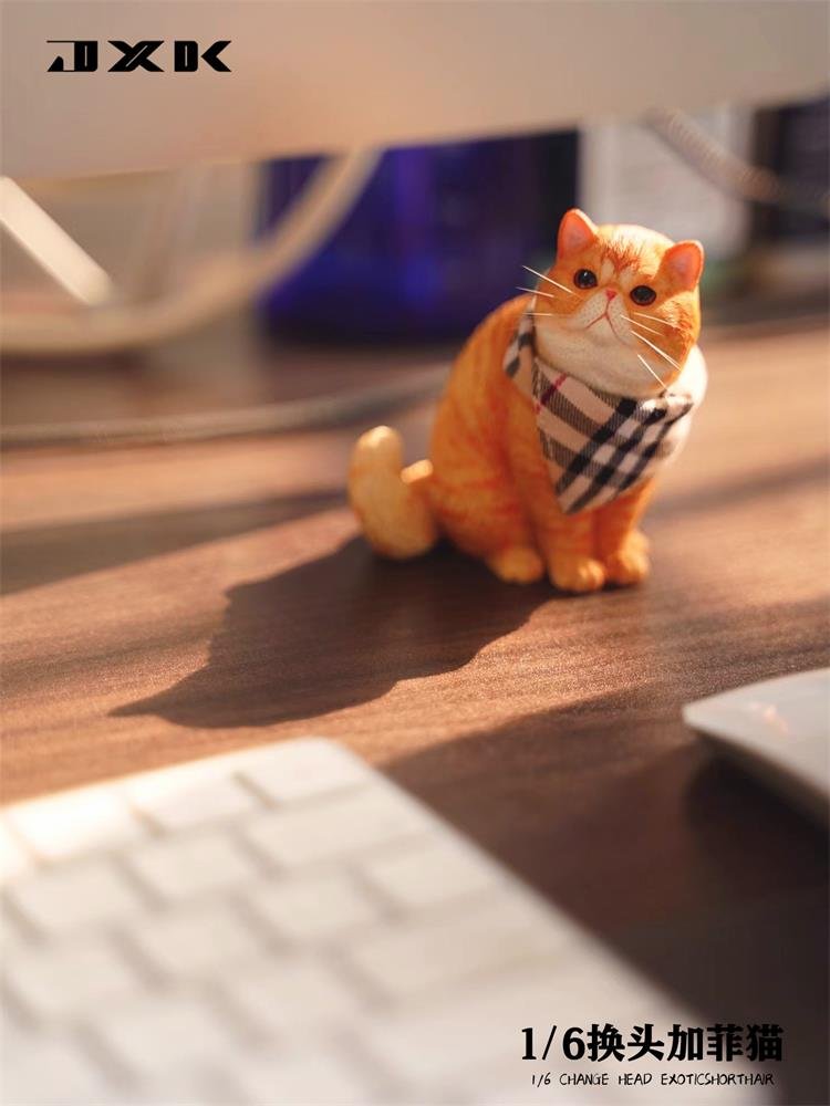 [สั่งจอง]JXK JXK113 1/6 : Change Head Exoticshorthair