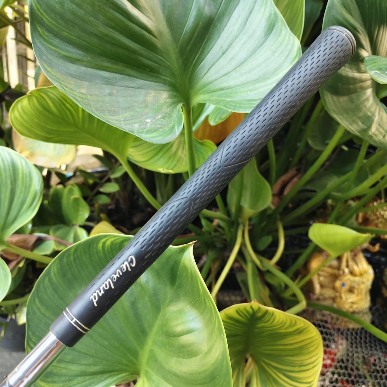 WEDGE CLEVELAND CG15 🔥 องศา 60° | ร่อง ZIP GROOVE สปินจัด! ความแม่นยำและการควบคุมลูกกอล์ฟรอบกรีน