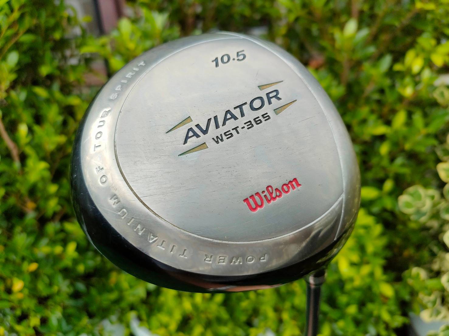 Driver WILSON AVIATOR