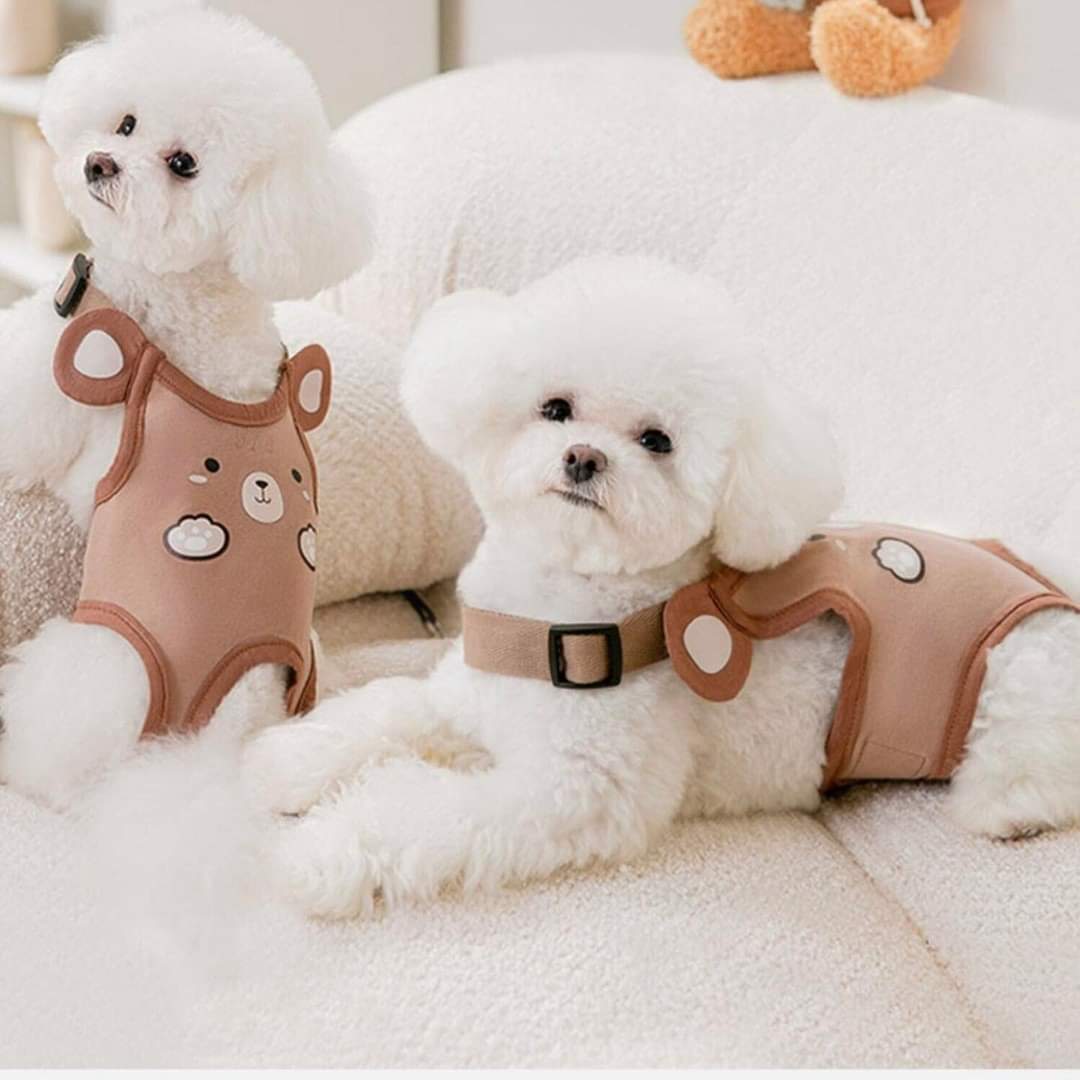🇹🇭พร้อมส่ง🇹🇭 💕ชุดเอี๊ยมอนามัย 🐻🐻🐻 ลาย หมีน้ำตาล น่ารักมากจ้า งานป้ายแบรนด์ for สุนัข หมา แมว สำเนา