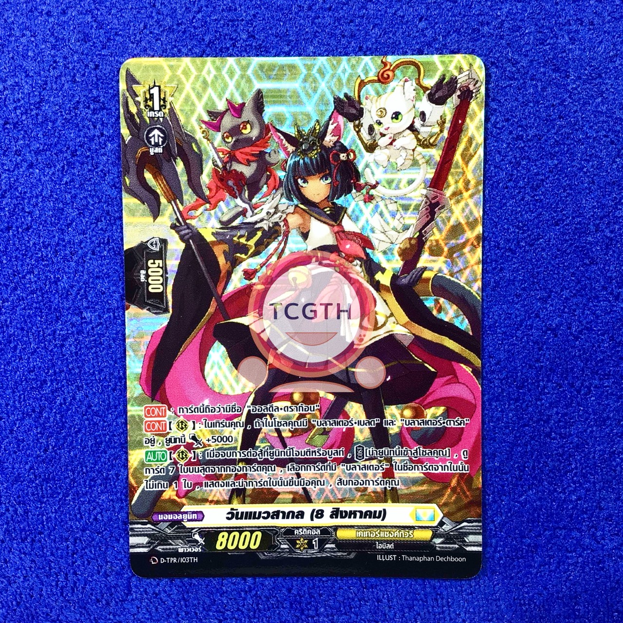 วันแมวสากล (8 สิงหาคม)