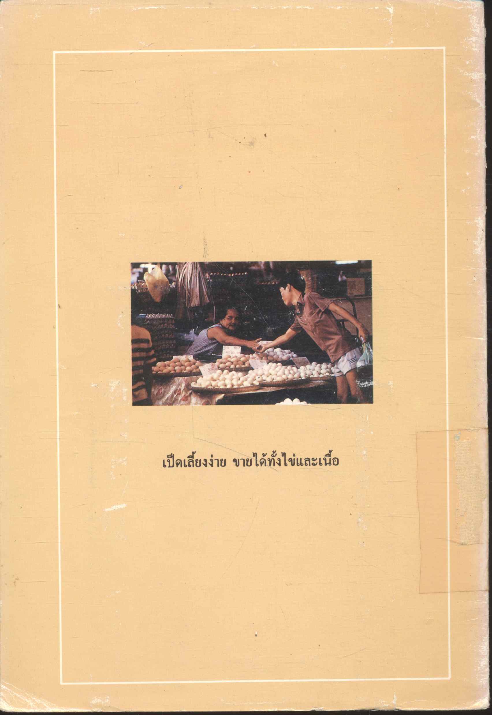 การเลี้ยงเป็ดแบบชาวบ้าน