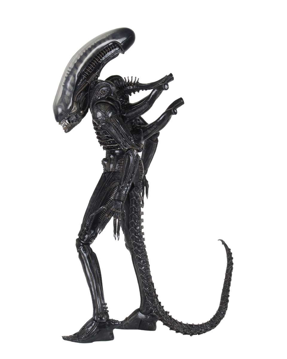 [สั่งจอง] Neca : Alien [Reissue]
