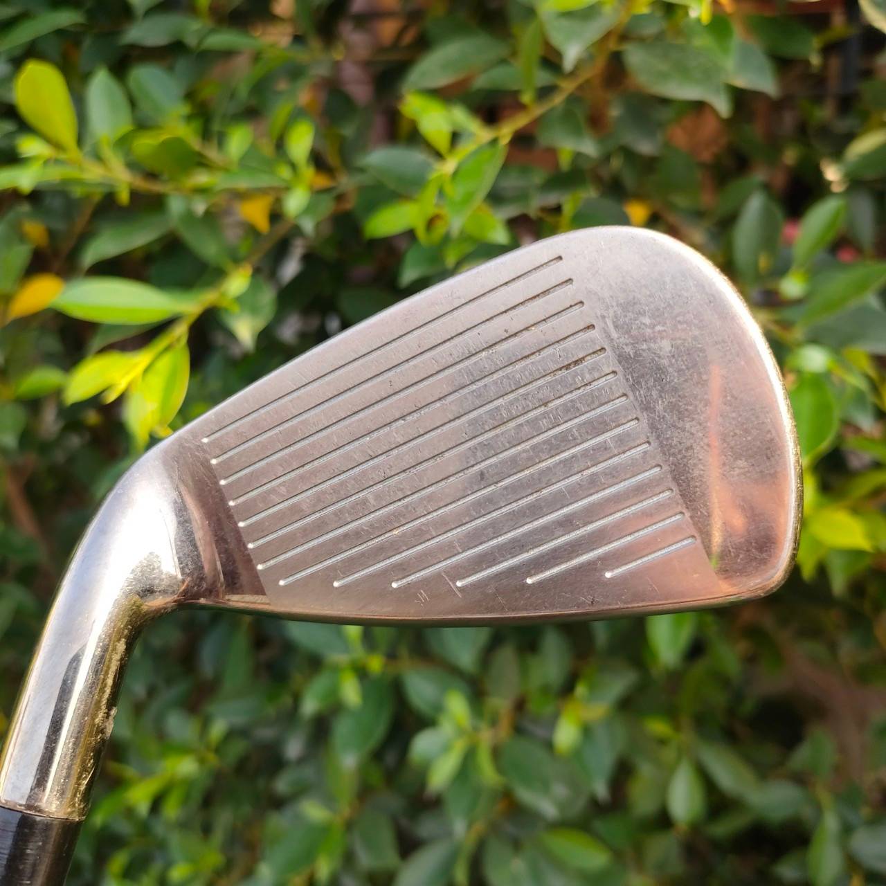 ชุดเหล็ก KASCO ROYAL SUPER HYTEN มีเหล็ก 5-9 เเละ PW AW SW ก้าน KASCO KR ROYAL FLEX R เป็นรุ่นระดับ HI-END สูงสุด หายากมาก ที่ญี่ปุ่นมือสอง ราคายังไป 3 หมื่นกว่าครับ ท่านที่ชอบขุดเหล็กหรูหรา และยัง ช่วยในการตี ตีวงแบบสบายๆ ก็ง่าย ได้ระยะ มากๆ เลยครับ เป็น