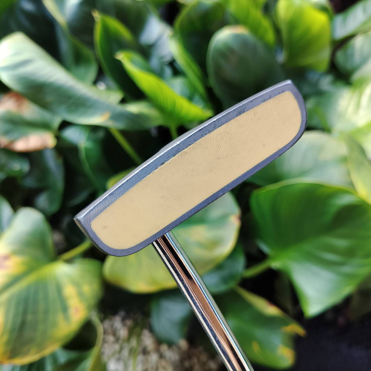 ไม้กอล์ฟครบชุด PRO KENNEX GRAND CANYON สภาพสวยงาม ให้ไม้มาได้ครบเครื่องมากๆ ดีทุกไม้ ถุงกอล์ฟ PROKENNEX เดิมตรงรุ่น และมี COVER ให้ครบทั้งชุดค่ะ ไม้กอล์ฟพรีเมี่ยมมือสอง ของแท้ By NakaraLuxurious