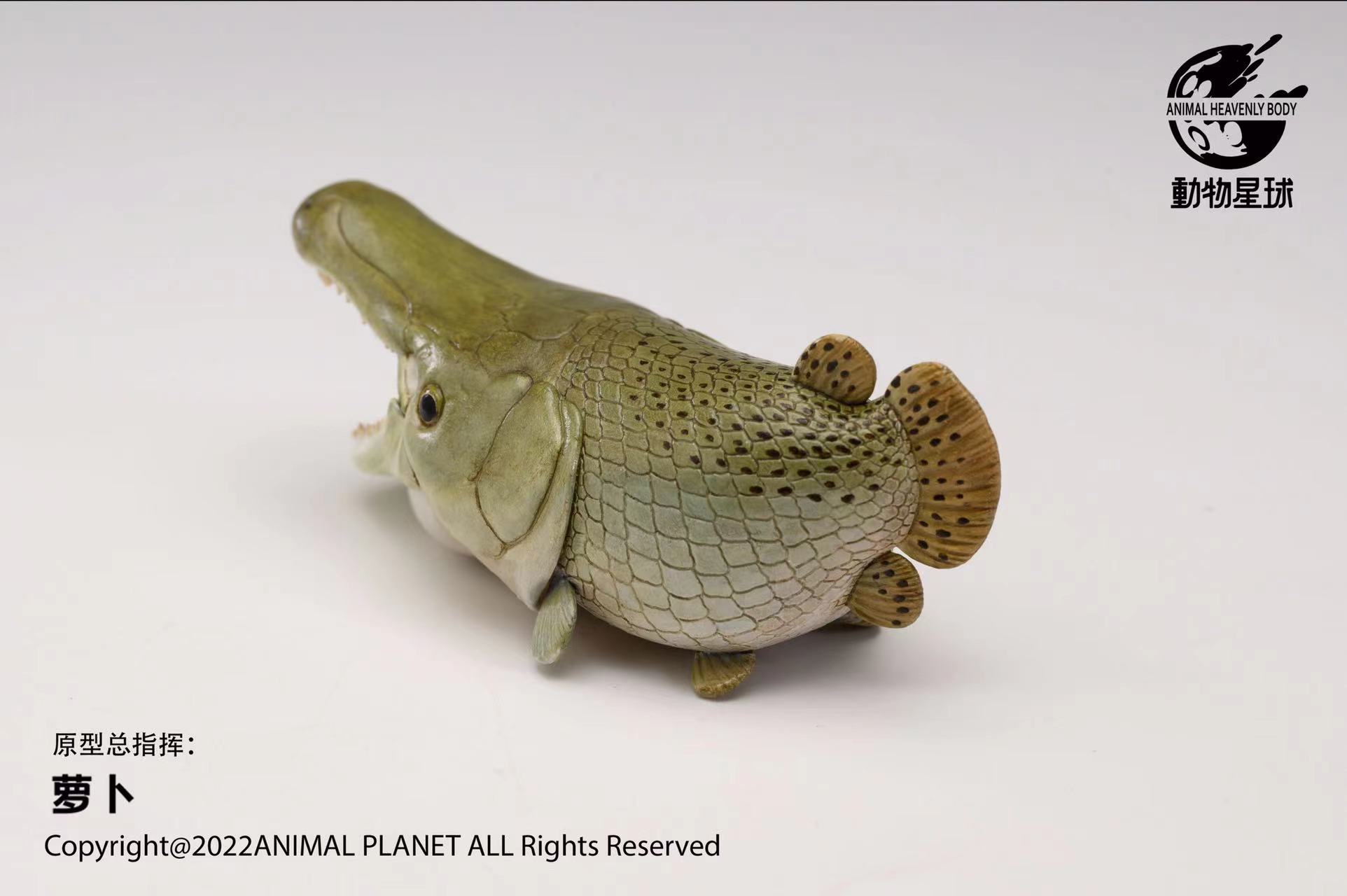 [สั่งจอง]Animal Planet : Alligator Gar