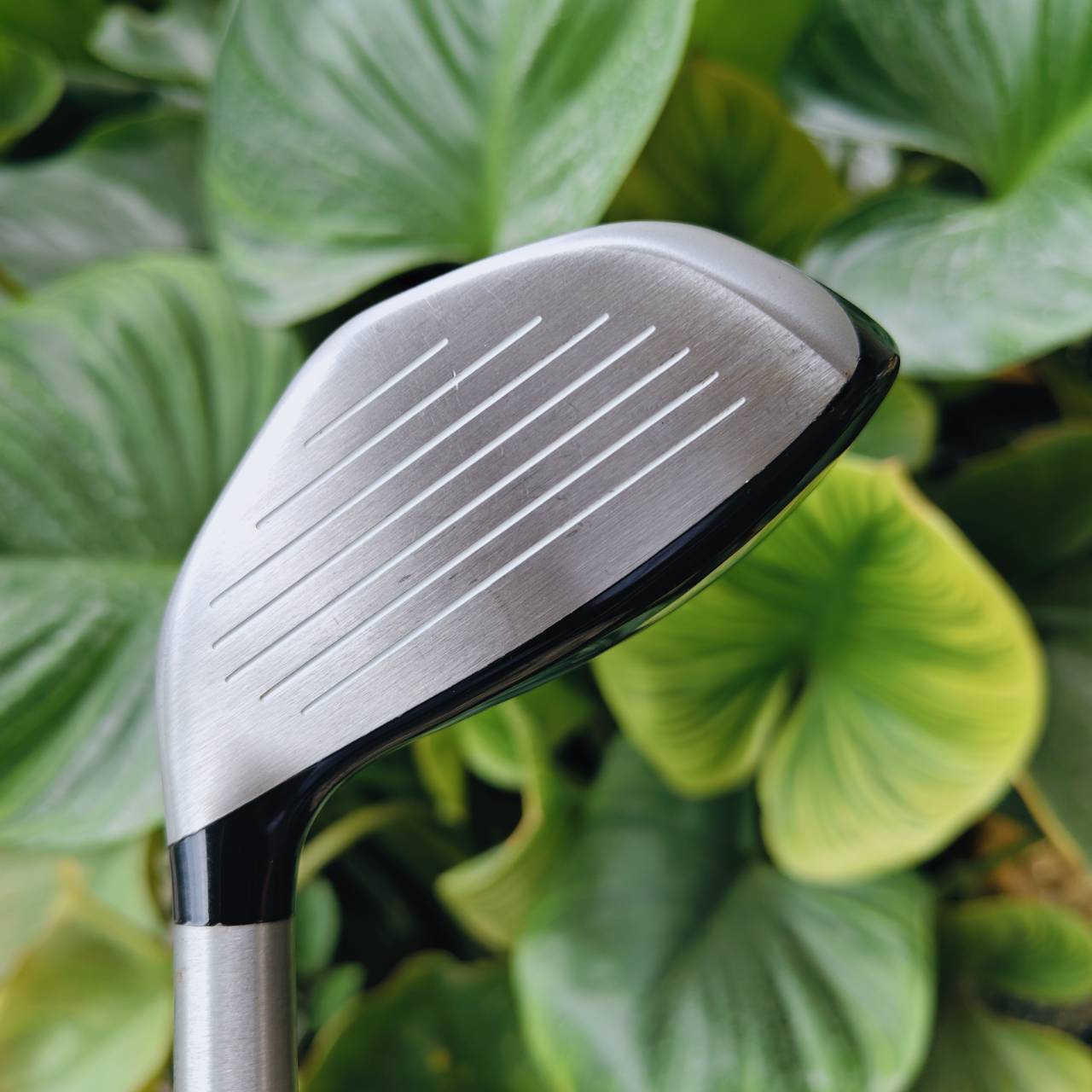 TaylorMade Raylor Hybrid ตัวช่วยตีลูกจากรัฟได้อย่างมั่นใจ! องศา 22° FLEX R