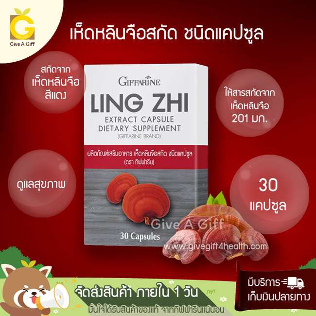Ling Zhi Extract Capsule (เห็ดหลินจือสกัด ชนิดแคปซูล) บำรุงร่างกาย ดูแลไต เสริมสร้างการทำงานระบบภูมิคุ้มกัน ให้ร่างกายแข็งแรง
