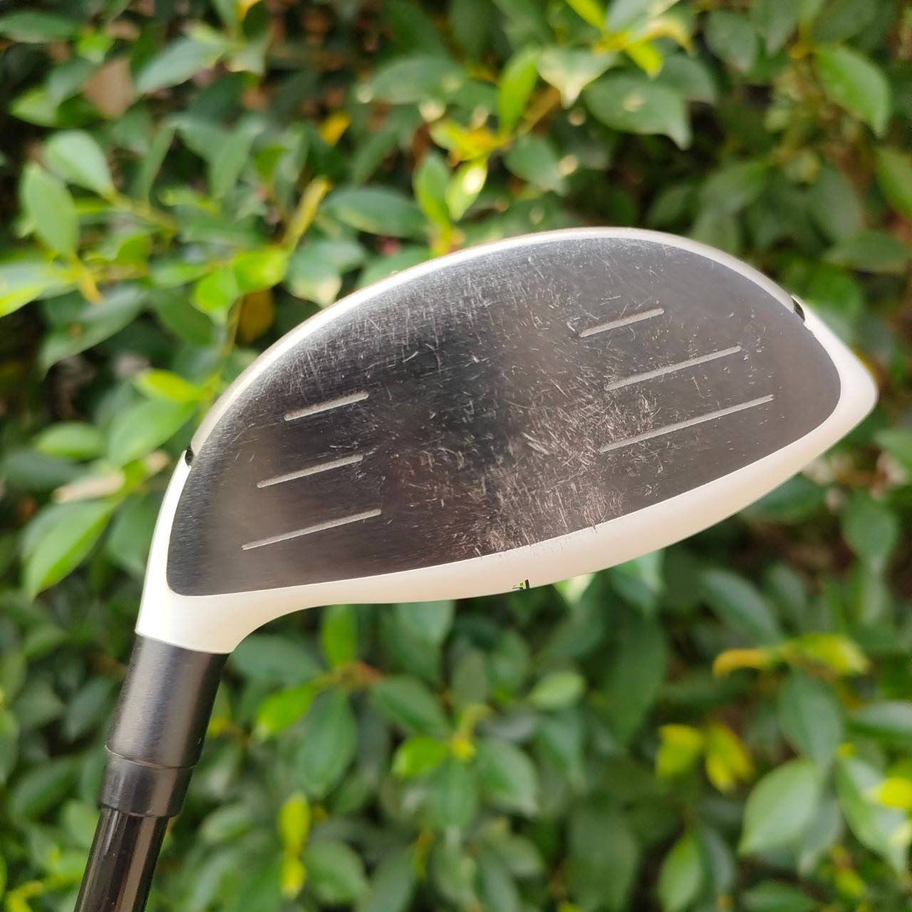 FW 5 TAYLORMADE RBZ ก้าน M2 TM1217 FLEX S