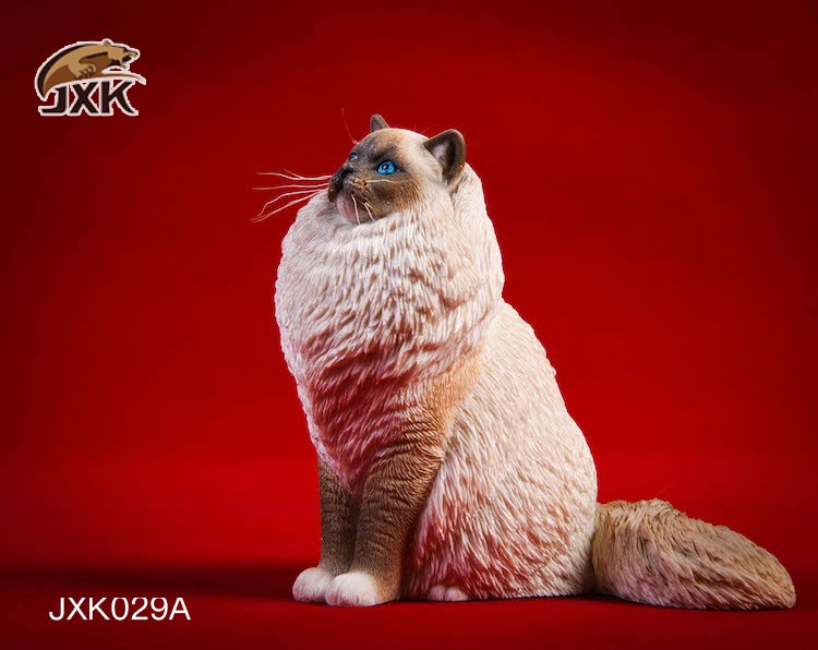 [สั่งจอง] JxK.Studio 1/6 Jxk029/ Jxk030 A/B/C/D -Ragdoll / British Shorthair Cat