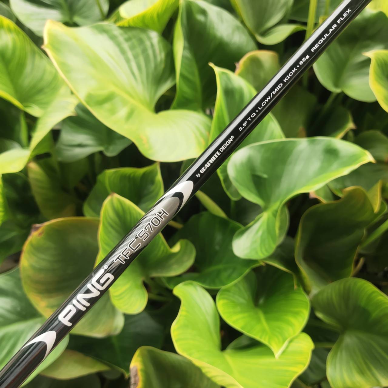 UT/Hybrid PING G10 24° ออกแบบด้วย หัวไม้กว้างกว่าและ Crown โค้ง → CG ต่ำและลึก