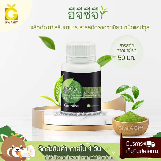 EGCG (อีจีซีจี) สารสกัดจากชาเขียว ตัวช่วยเพื่อการดูแลสุขภาพ ต้านอนุมูลอิสระสูง