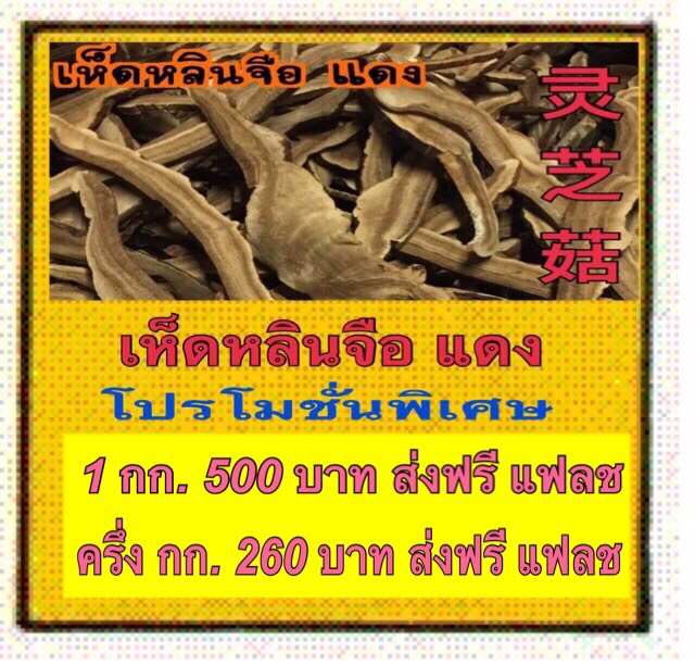 เห็ดหลินจือ