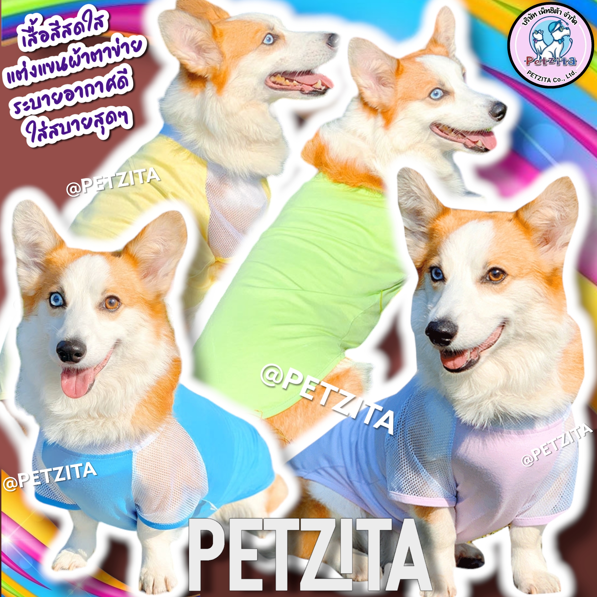 🇹🇭พร้อมส่ง🇹🇭 เสื้อสีสดใส แต่งแขนผ้าตาข่าย ใส่สบาย for pet เสื้อผ้าสัตว์เลี้ยง สุนัข หมาอ้วน