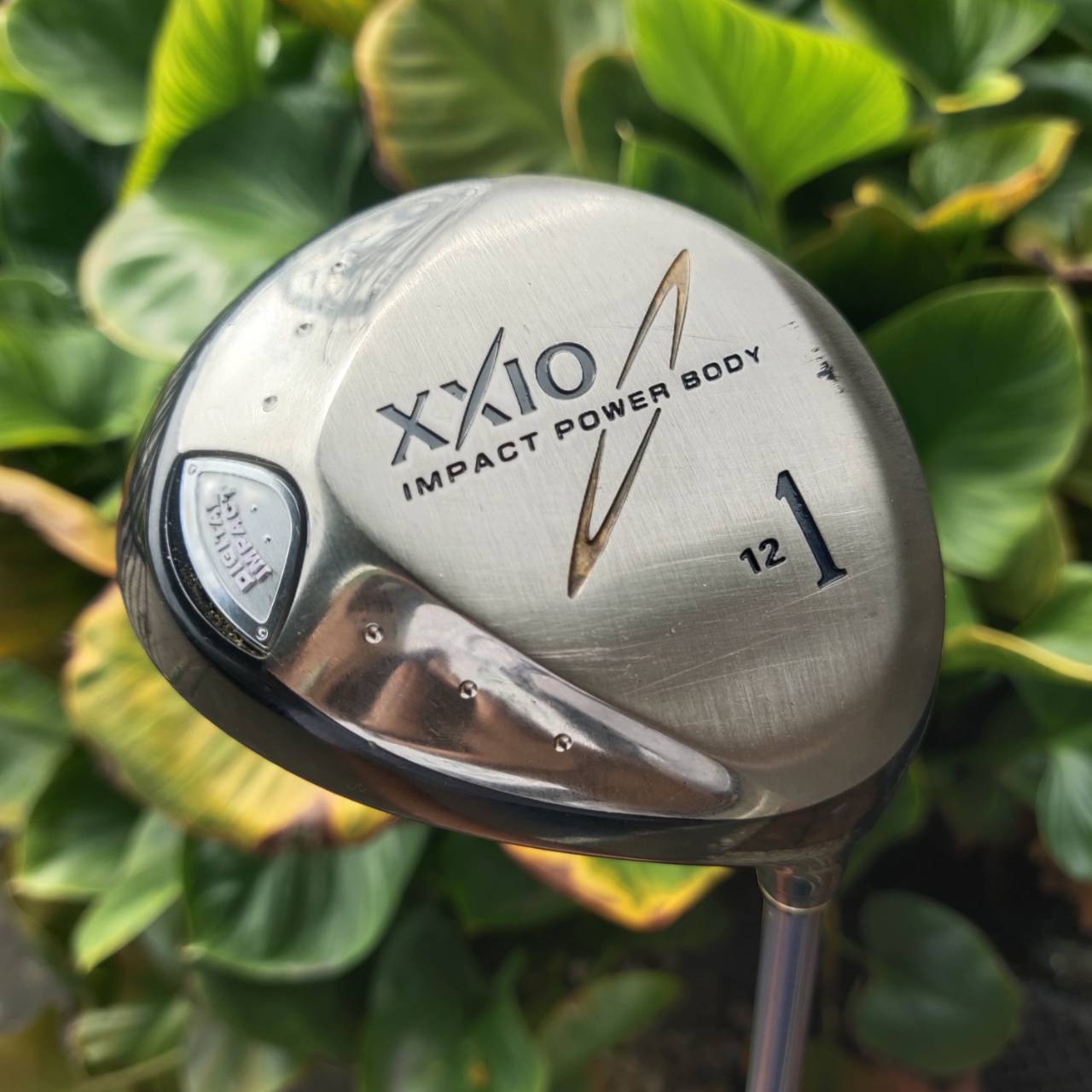 *ไม้กอล์ฟผู้หญิง* XXIO Impact Power Body พลังเต็มสวิงสำหรับนักกอล์ฟที่รักความง่ายและระยะไกล