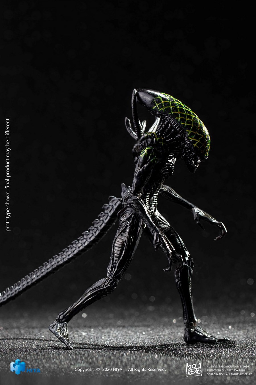 [สั่งจอง]Hiya toys : 1/18 Scale : Alien /Predator