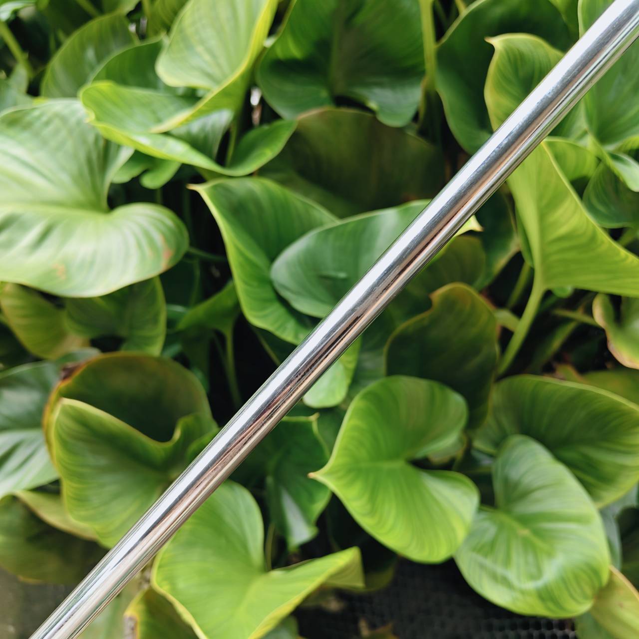 ชุดเหล็ก Mizuno MP-57 Grain Flow Forged สุดยอดฟีลลิ่งที่ไม่มีในแบรนด์ไหน