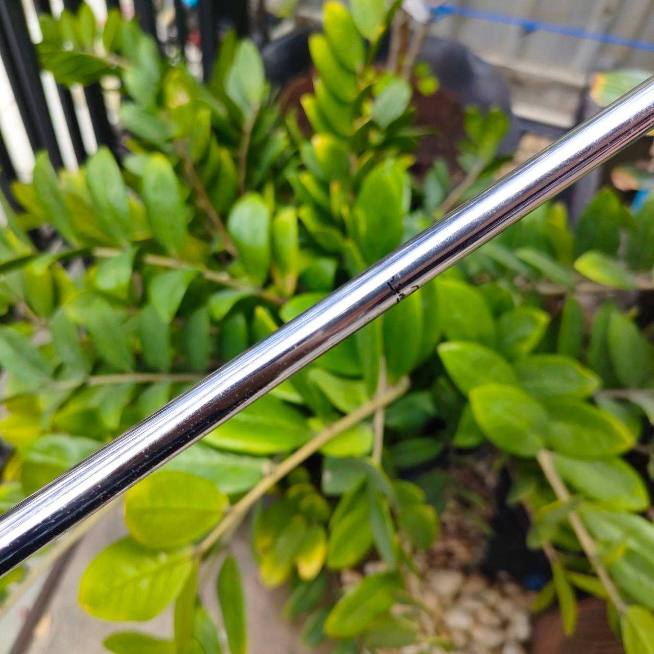PUTTER ODYSSEY TRi HOT #3 ความยาว 34 นิ้ว วัสดุพรีเมี่ยม วางน้ำหนักไว้ได้ลงตัว โสตรค นุ่มนวลขึ้น 3 เท่า และเกาะไลน์ดีมาก ไม้กอล์ฟพรีเมี่ยมมือสอง By NakaraLuxurious