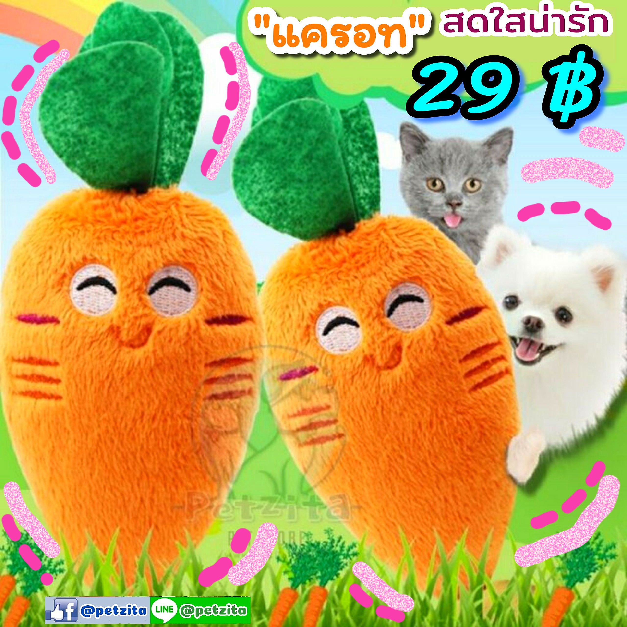 🇹🇭พร้อมส่ง🇹🇭 แครอท Carrot - PET TOY