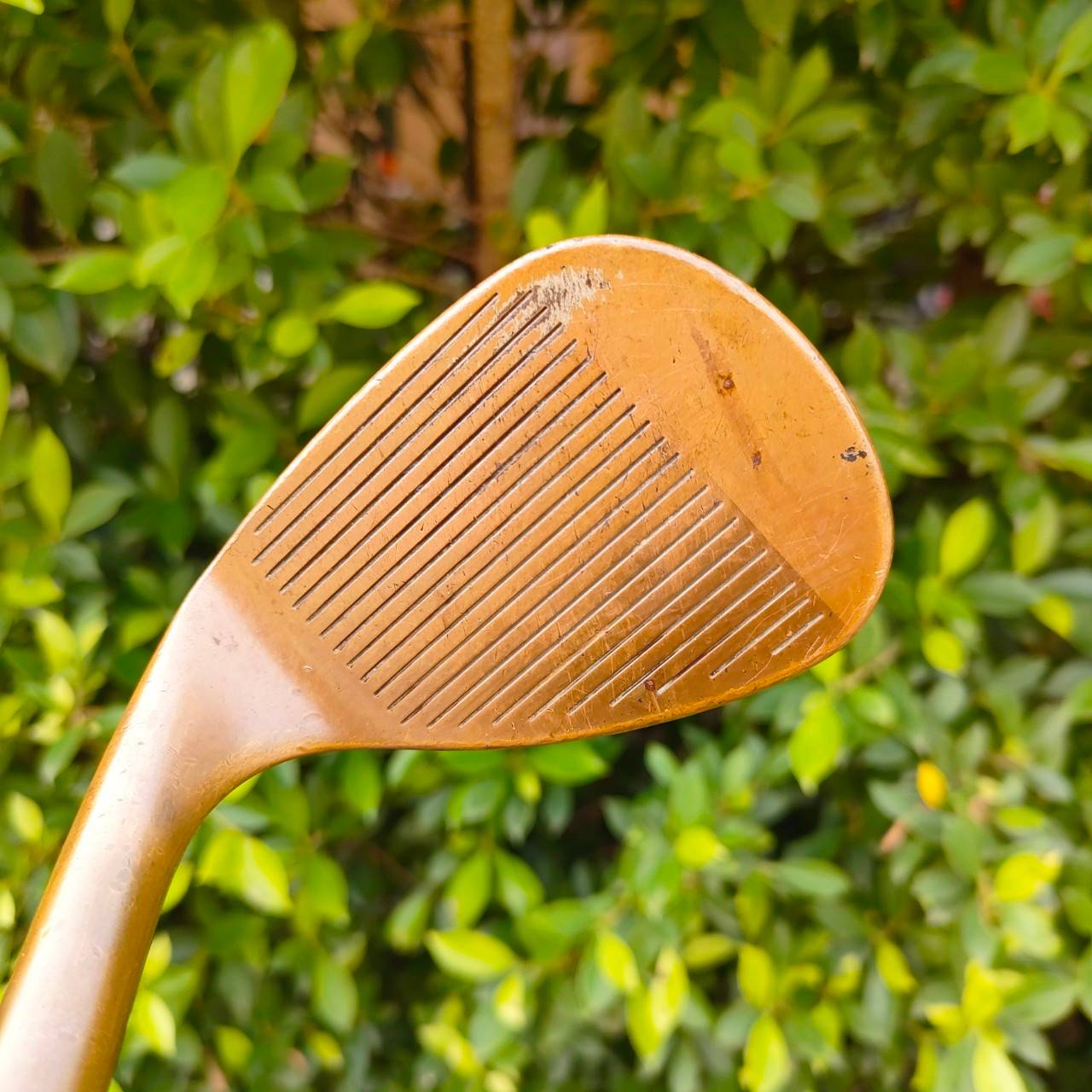 WEDGE CALLAWAY V FORGED COPPER องศา 58 ก้าน DYNAMIC GOLD S200 เป็นสุดยอด FORGED ทองแดง วัสดุที่หายากมาก ในยุคนี้ ฟีลลิ่งที่จะไม่ได้จาก WEDGE ตัวไหน ทั้งนุ่มมากๆ คมมากๆ และแม่นยำจัดๆ ทีเด็ด!!! ไม้กอล์ฟมือสอง ของแท้ BY NakaraLuxurious
