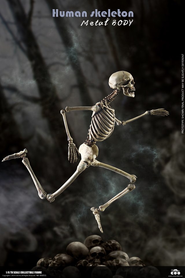 [สั่งจอง]COOMODEL NO.BS011 1/6 THE HUMAN SKELETON (DIECAST ALLOY)