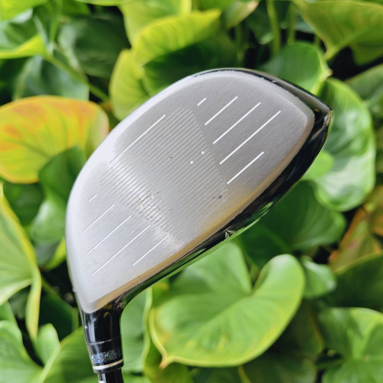 XXIO ELEVEN Driver (ก้าน MP1100K Flex S) Titanium Face (Super-TIX® 51AF) → บาง ให้แรงดีดสูงมาก