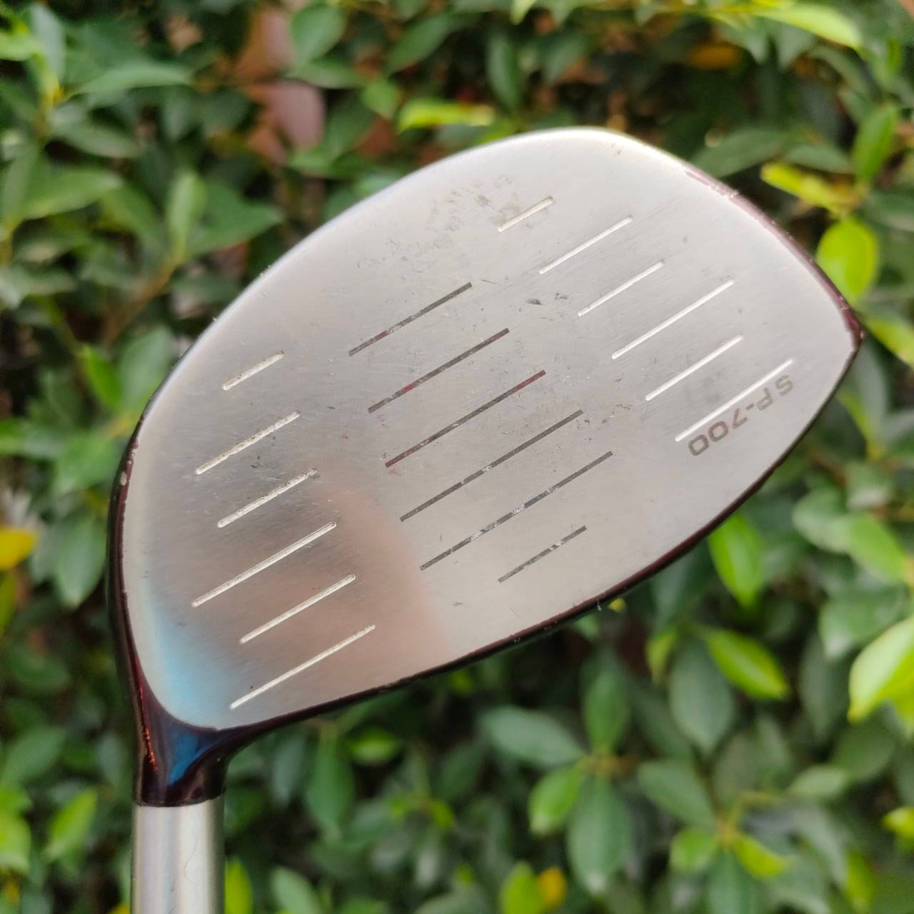 DRIVER GENEX 425 FORGED องศา 10 ก้าน SPEEDRATED 55 ไม้กอล์ฟหน้าเด้ง พรีเมี่ยมญี่ปุ่น มีออฟเซ็ทหน่อยๆ ช่วยให้ตีตรง เร่งสปีดได้เต็มที่ ตีไกลครับ