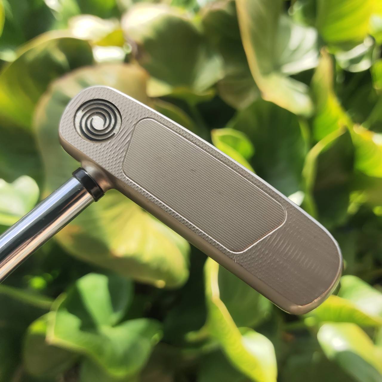 PUTTER ODYSSEY BLACK SERIES #3 INSERT Urethane Feel พัตเตอร์ทัวร์เกรด ฟีลนุ่มแม่นระดับโปร!