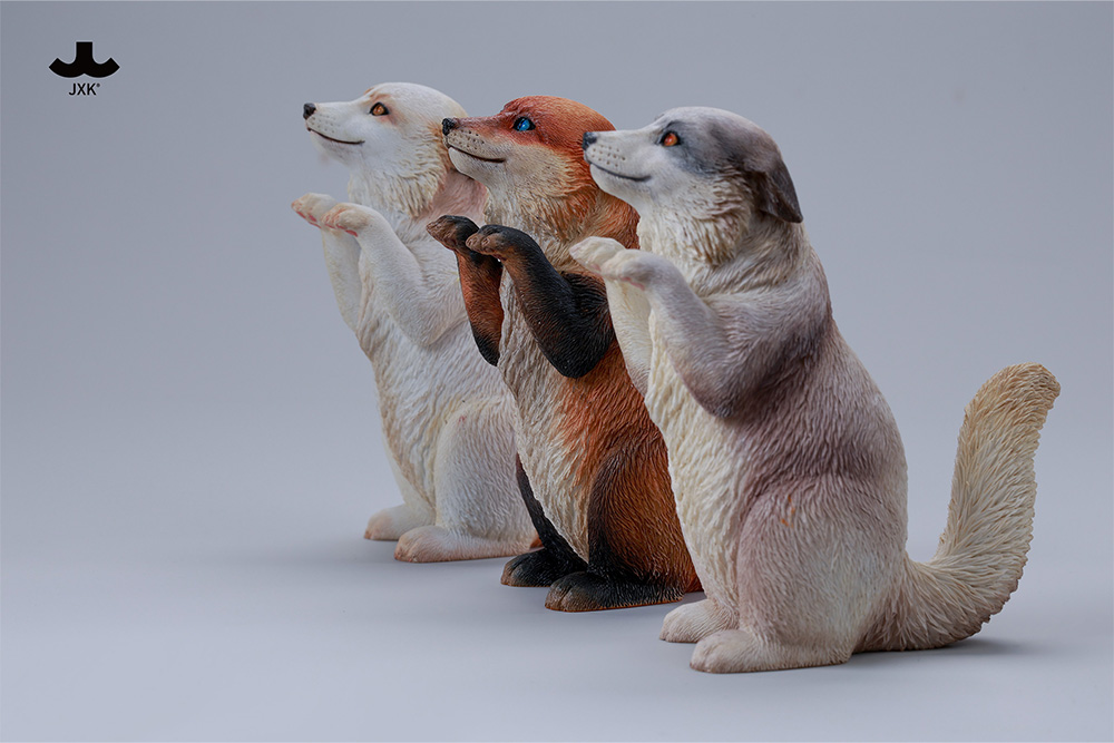 [สั่งจอง]JXK --- Kung Fu Cat ---