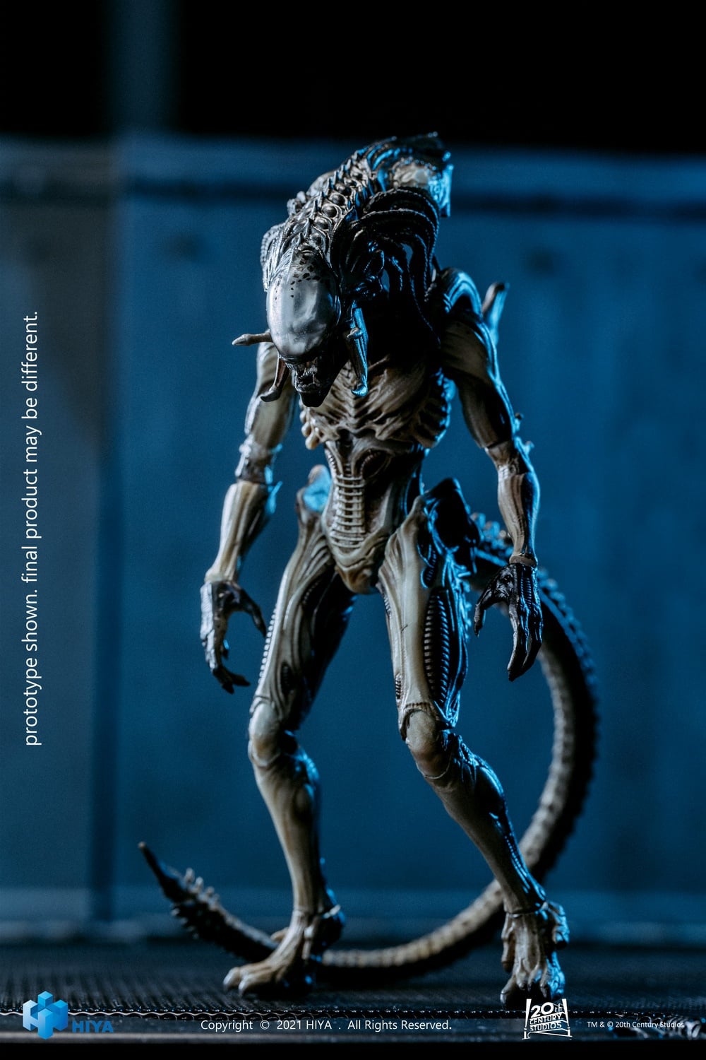 [สั่งจอง]HIYA 1/18 : Mini Series Alien vs. Predator