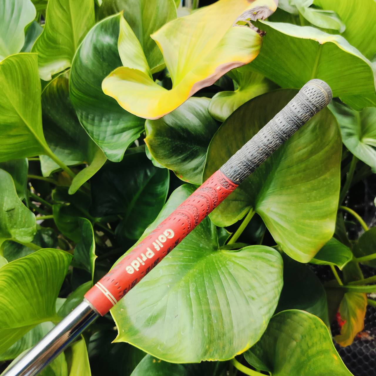 DRIVER TAYLORMADE R7 CGB MAX องศา 10.5 ก้าน DIMANA FLEX S ตีไกลจัดๆ ไม้กอล์ฟพรีเมี่ยมมือสอง ของแท้ By NakaraLuxurious
