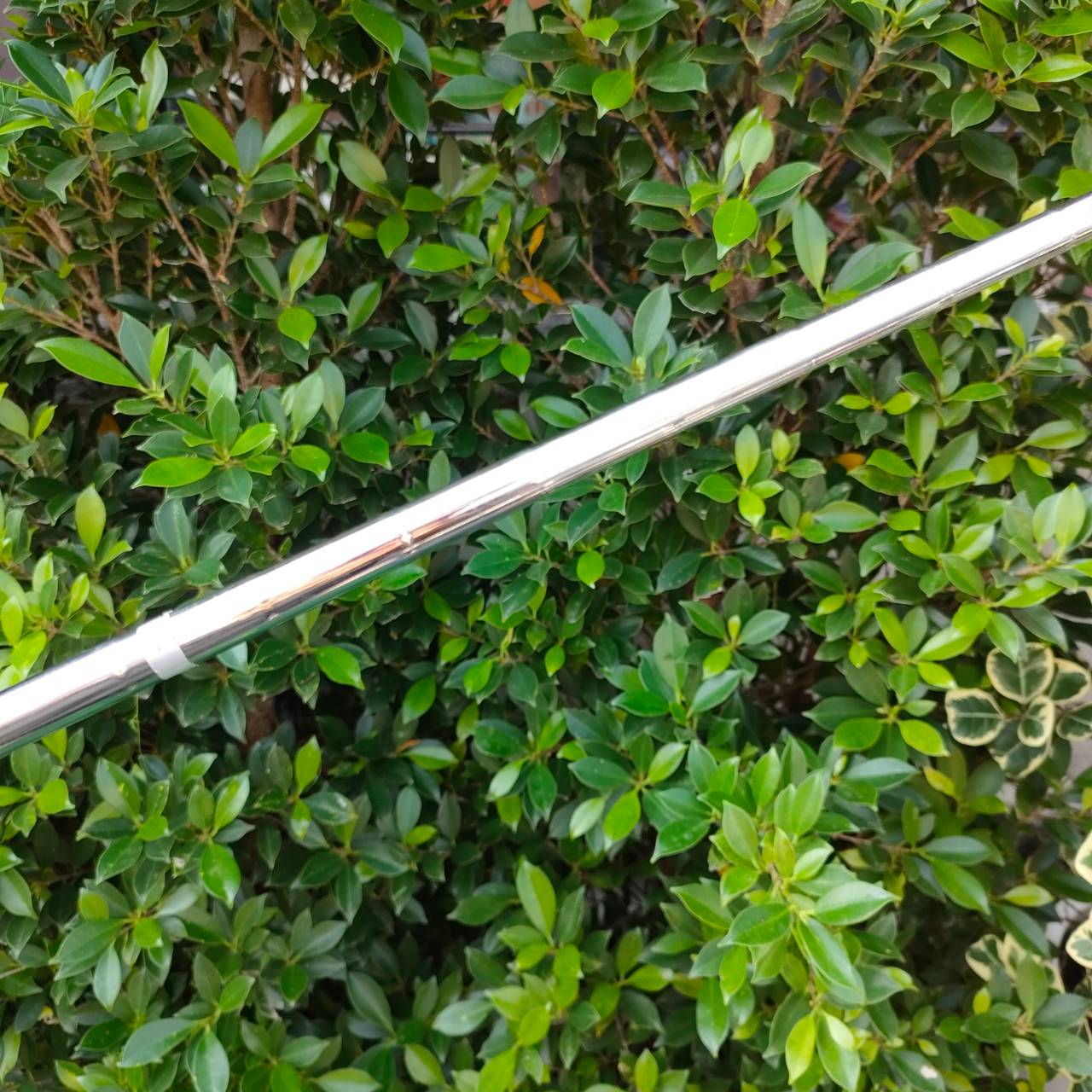 PUTTER TAYLORMADE ROSSA FONTANA GHOST ความยาว 34 นิ้ว เล็งง่าย มีบอลวงกลม เวลาพัตต์เปิดหรือปิดจะเห็นได้ชัด มีขีด เล็งง่าย มากๆ หน้าไม้ เอกสิทธิ์ Taylormade