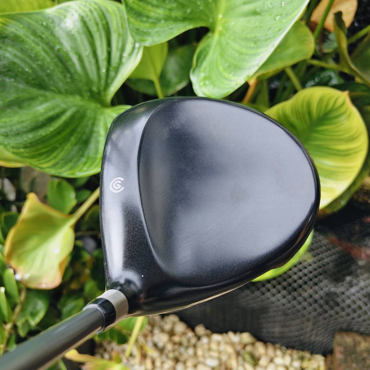 Cleveland Hi Bore XL – The Power of Deep CG “ตีง่าย ลูกพุ่งตรง และระยะไกล”