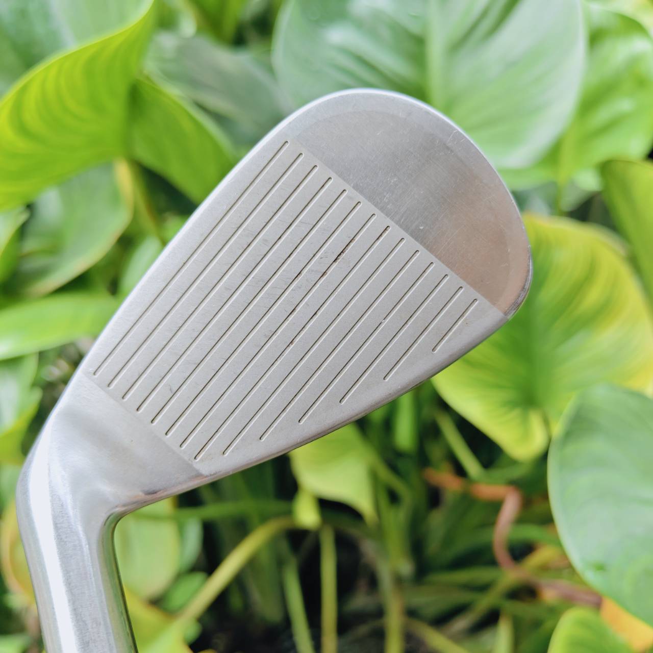 ชุดเหล็ก TSURUYA ONESIDER SE ตีง่ายและไกล เนื่องจากมีดีไซน์ ใบใหญ่ หน้าเด้ง และองศาโกง