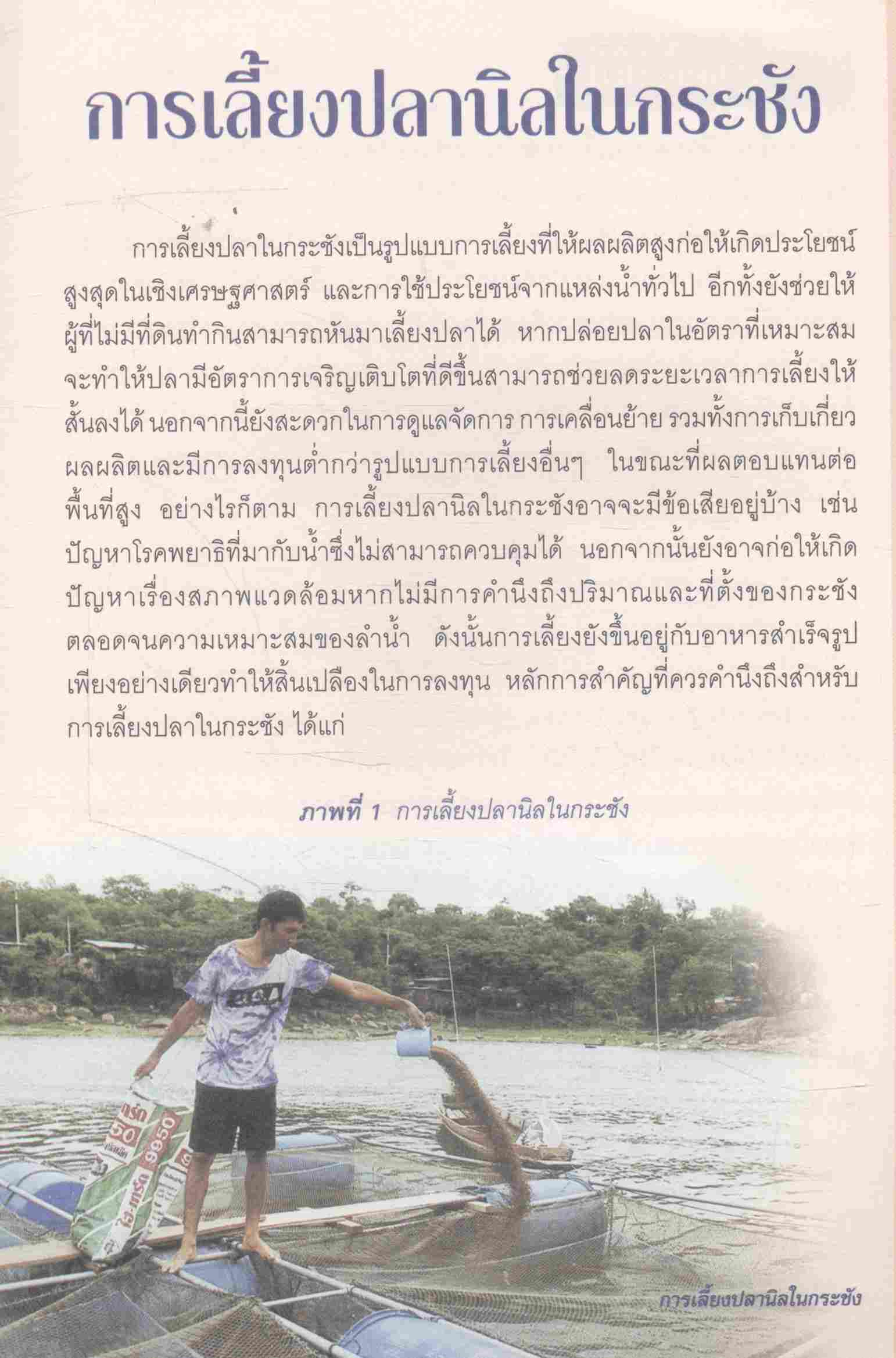 การเลี้ยงปลานิลในกระชัง